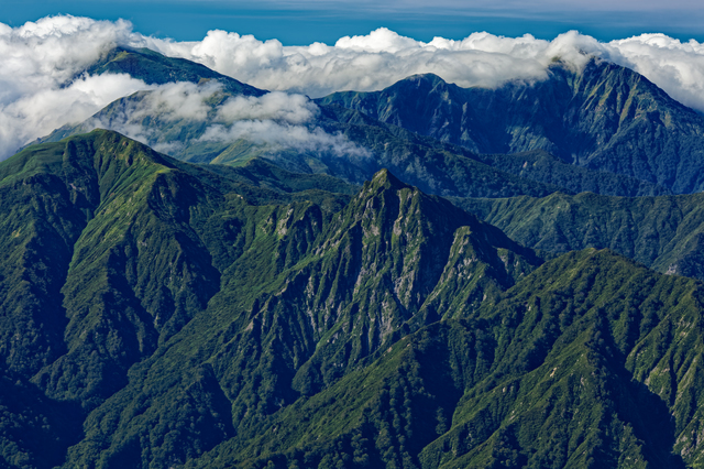 環境への取り組み