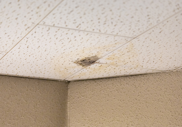 雨漏り・水漏れ修理の施工例